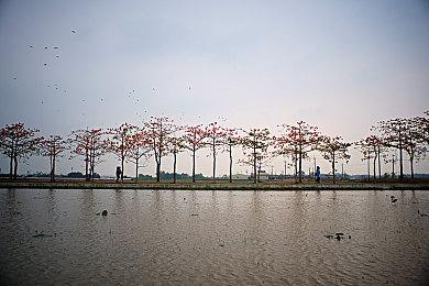 修仙战旗游戏《天地归虚》8月25日Steam推出EA版